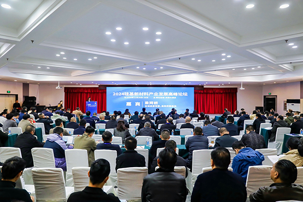 頂立科技參加硅基新材料高峰論壇，分享高純石英制備熱工裝備最新技術(shù) (2).jpg